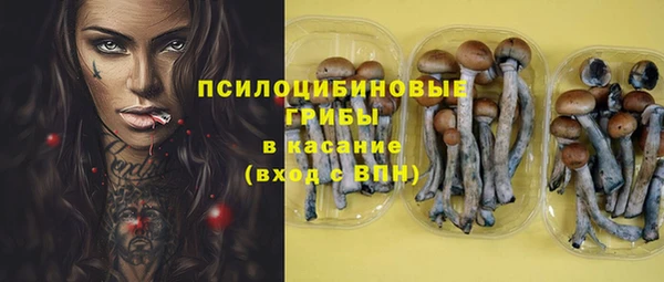 гашик Абаза