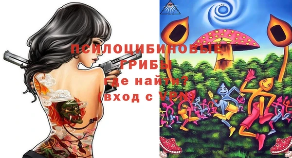 гашик Абаза
