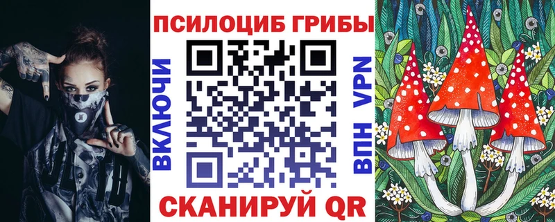 Псилоцибиновые грибы Psilocybine cubensis  Власиха 